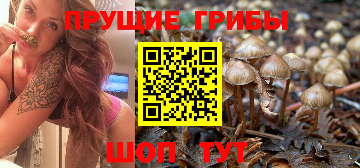 Галлюциногенные грибы Magic Shrooms Мирный