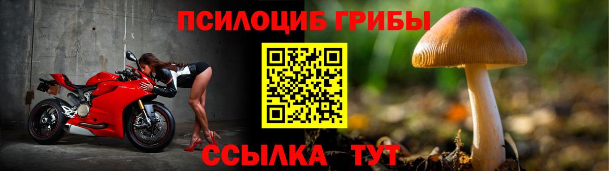 Псилоцибиновые грибы MAGIC MUSHROOMS  купить наркоту  Мирный  Вход с VPN 